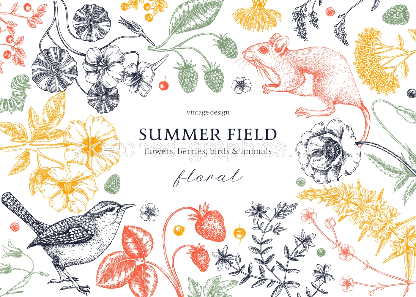 Summer background in color. Floral banner design. Wildlife sketches. Wildflowers botanical illustration. Hand-drawn field flowers, birds, and animals for wedding invitation, frame, card. Illustration